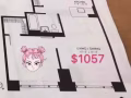 只要$1057!!!羅島Octagon找室友！！