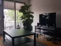 Rego Park 安静好区大单人间出租 $850/月