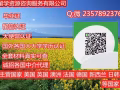 葳亻█ 言 235 789 2376【必█ 頁█ 鄭、誠█ 輯█ 単】