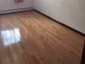 法拉盛sanford ave 兩房一廳出租，$1950