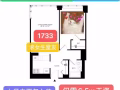 曼哈顿中城西精品楼，超级无敌大客厅找小姐姐室友~
