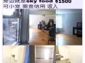 法拉盛studio