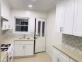 新鲜草原