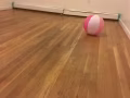 大單房出租