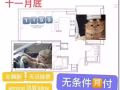 olivia高层男生宿舍客厅仅1199，十一月底入住，全落地窗转角客厅，手慢无