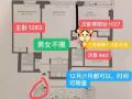 美丽而又静谧的罗岛找室友啦！！
