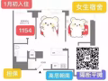 LIC招女室友 免一年cable+wifi Amentity免费用