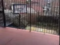新 裝修  特大House 出租  in Flushing for Rent