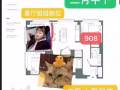 NP豪楼 2=1