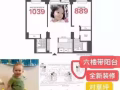 美丽罗岛2月中下入住