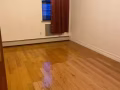 法拉盛2B2B公寓里的其中1B1B出租