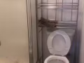 套房出租