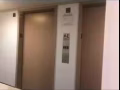 (有圖）法拉盛圖書館對面公寓套房出租