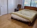 college point 全新装修大套房出租(水电网空调)全包