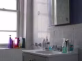 Queens Rego Park 电梯公寓带家俱大单房出租 (240 sqft)