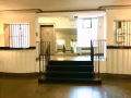 Queens Rego Park 电梯公寓带家俱大单房出租 (240 sqft)