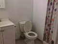 College point房屋出租