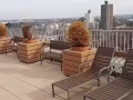 $1575 皇后區森林小丘650 SQ FT STUDIO 出租
