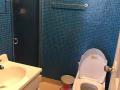 Flushing Kissena一套房出租