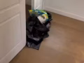 法拉盛高級公寓出租