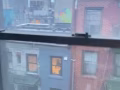 Sublet 2 bedrooms in Chinatown (walk-up)