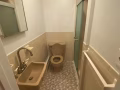 近緬街植物園正規三房兩衛包水暖才$2250