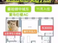 曼哈顿豪楼American Copper拼室友啦！