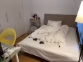 Harrison Urby2b2b中的1b1b转租（客厅不住人）