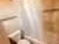 全新套房出租带有私人卫生间家具房间一尘不染917-609-6831