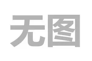 rego park（雷哥公园）全新公寓一房一厅出租